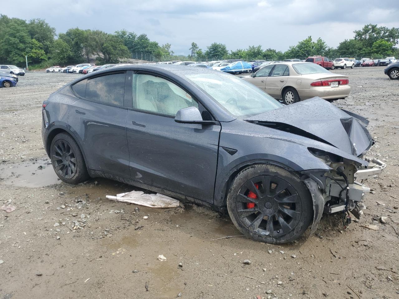 TESLA MODEL Y