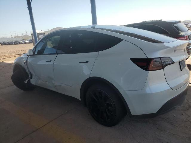 2023 TESLA MODEL Y 7SAYGDEE7PF599701