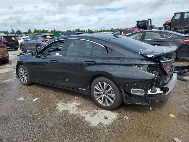 2021 LEXUS ES 300H - 58ADA1C13MU004815