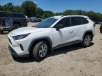 2019 TOYOTA RAV4 LE - 2T3H1RFV3KW016957