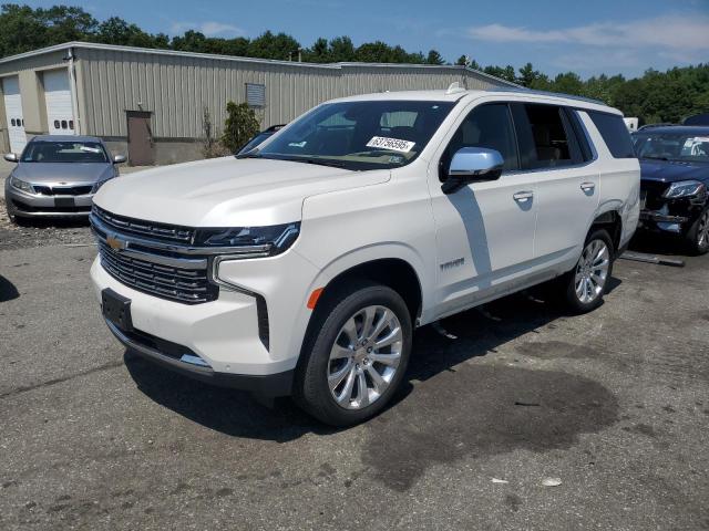 2024 CHEVROLET TAHOE K150 - 1GNSKSKT8RR294138