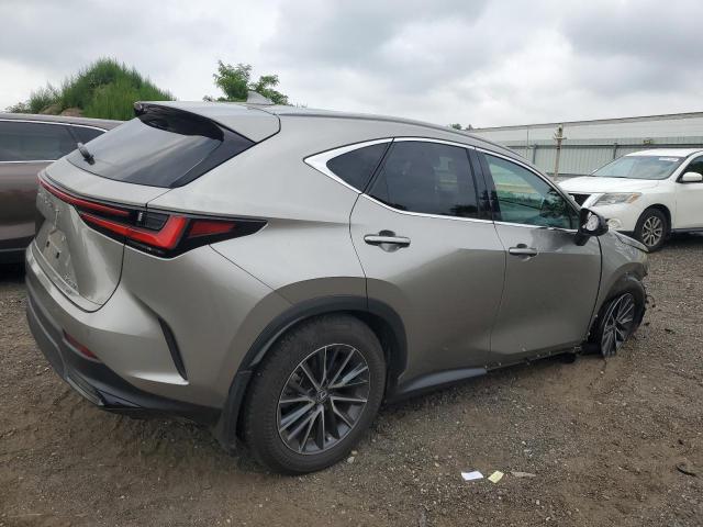 2025 LEXUS NX 250 BASE 2T2ADCEZ7SC005749