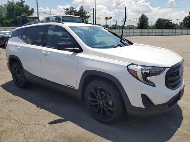 2020 GMC TERRAIN SL 3GKALMEV6LL135289