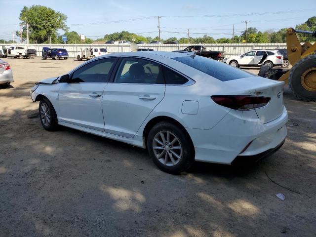 2019 HYUNDAI SONATA SE - 5NPE24AF6KH759168