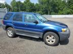 Lot #3304673942 2007 FORD ESCAPE XLT