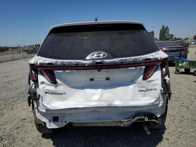 2023 HYUNDAI TUCSON LIM - KM8JECA19PU112521