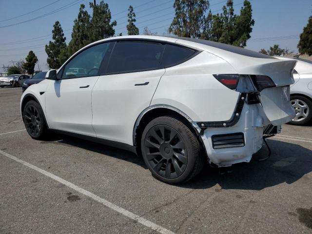 2025 TESLA MODEL Y 7SAYGDEE8SF247834
