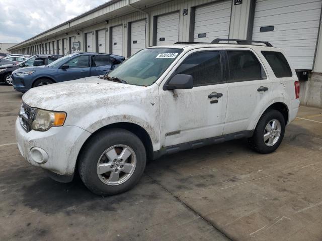 FORD ESCAPE XLT