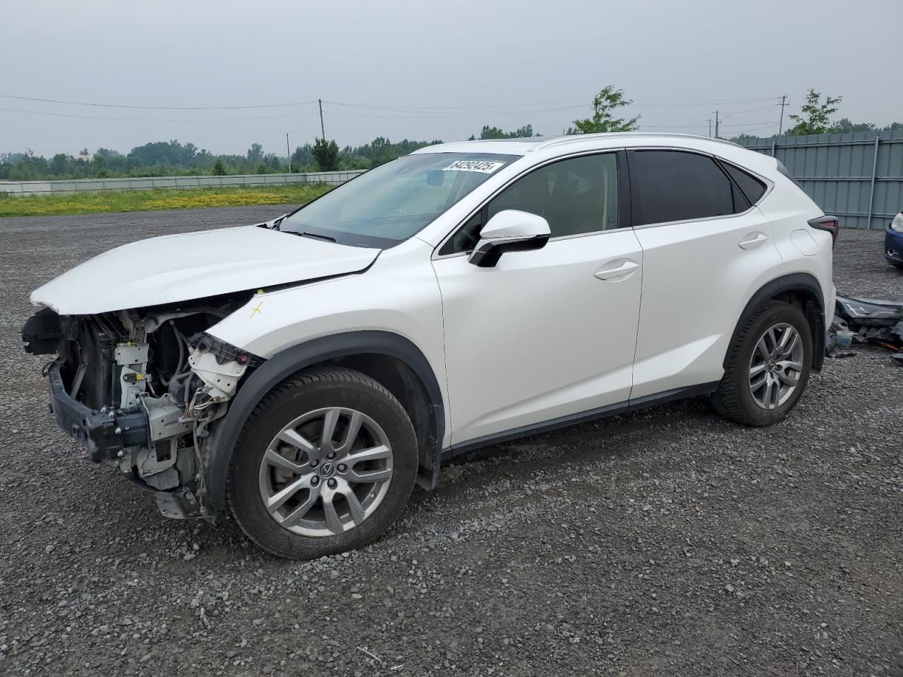 LEXUS NX 300H 300 LUXURY