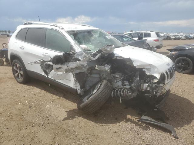 2019 JEEP CHEROKEE L 1C4PJMDN5KD123717