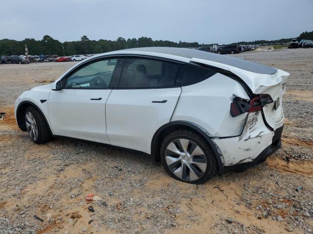 2020 TESLA MODEL Y 5YJYGDEE3LF032750