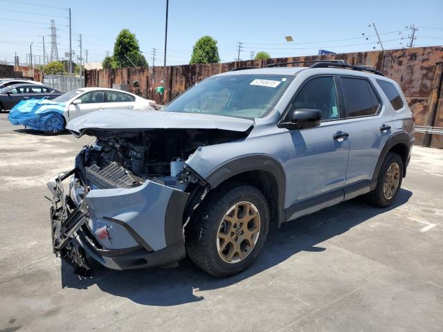 2024 HONDA PILOT TRAI 5FNYG1H61RB038185