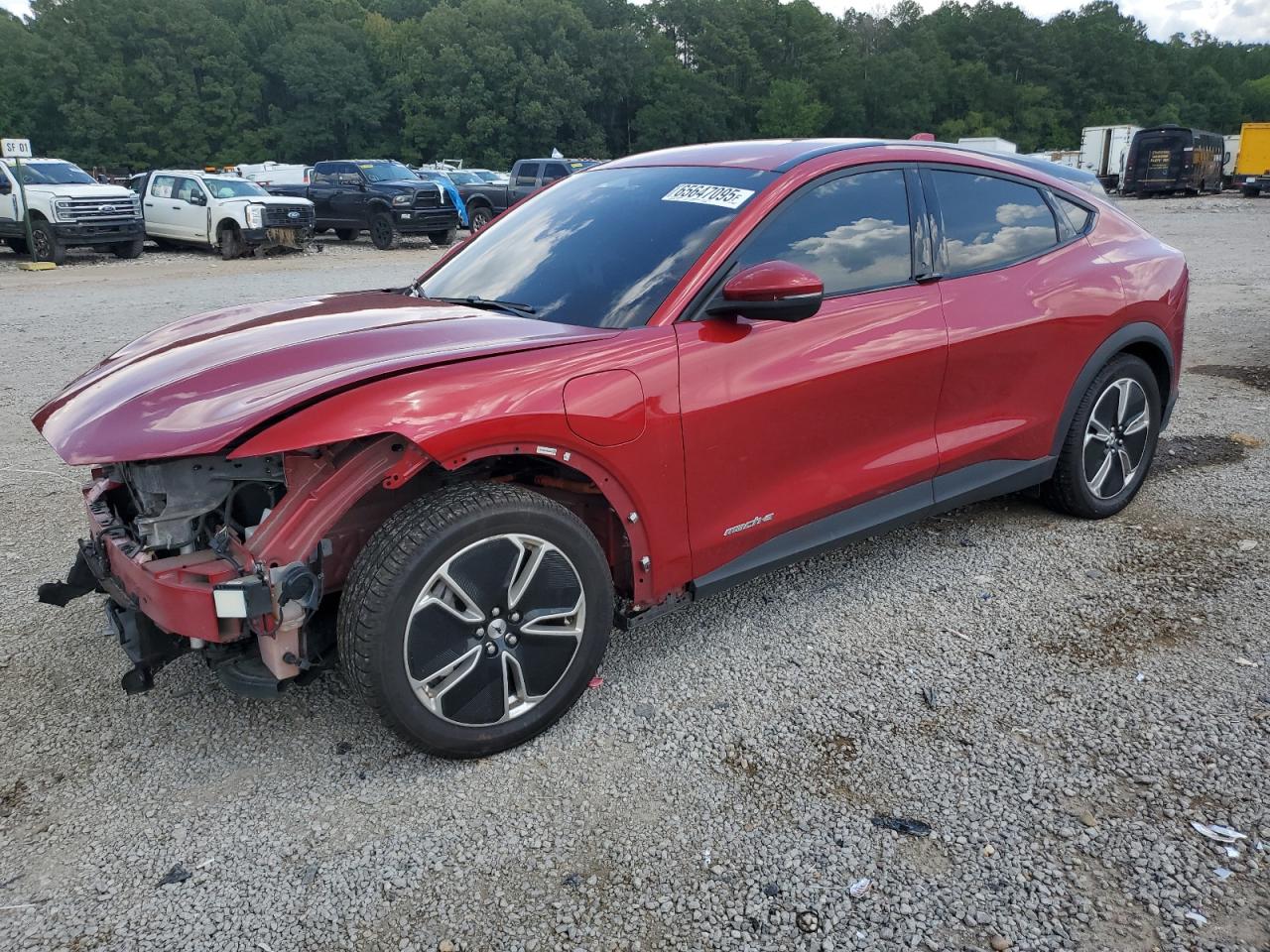FORD MUSTANG SELECT
