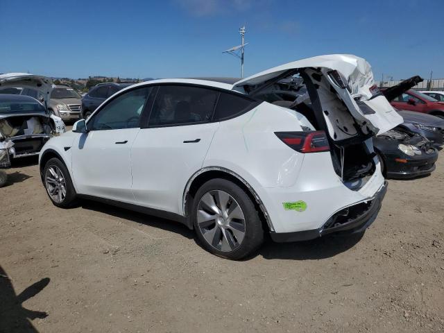 2023 TESLA MODEL Y 7SAYGDEE0PF648317