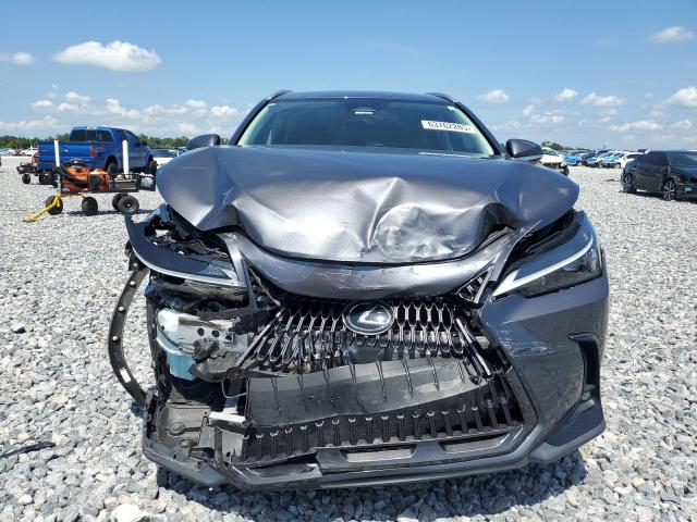 2023 LEXUS NX 250 2T2ADCAZ2PC003176