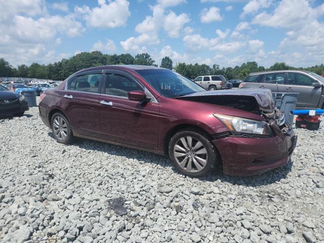 2011 HONDA ACCORD EXL - 1HGCP3F85BA021755