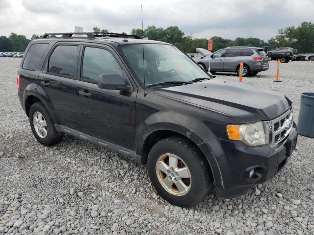 2011 FORD ESCAPE XLT - 1FMCU0D76BKB11423