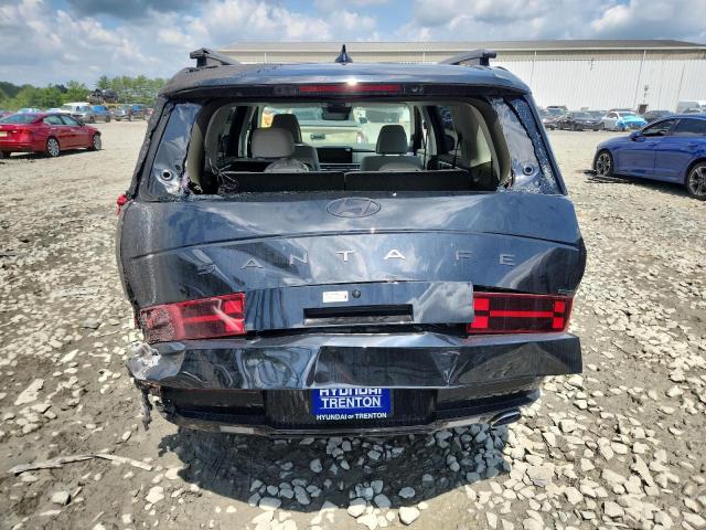 2025 HYUNDAI SANTA FE CALLIGRAPHY 5NMP5DGL8SH095594