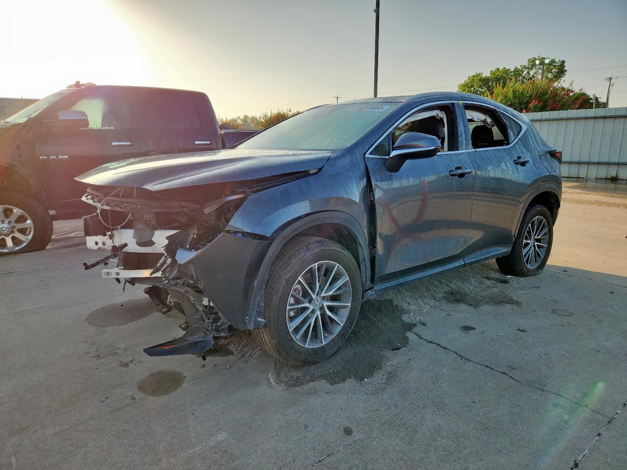 LEXUS NX 250