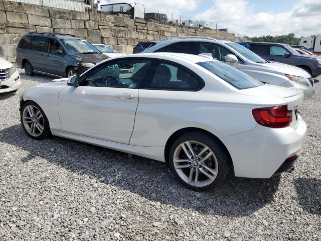 2016 BMW 228 XI SUL WBA1G9C52GV599778