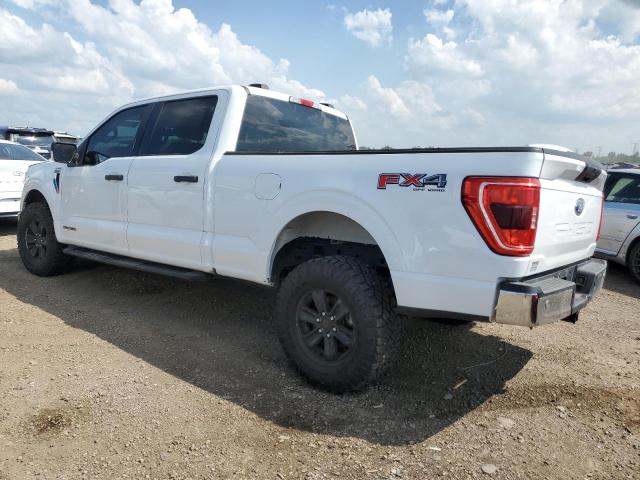 2021 FORD F150 SUPER - 1FTFW1E17MFC73584