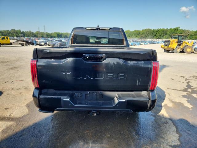 2023 TOYOTA TUNDRA CRE - 5TFNA5DB2PX084612