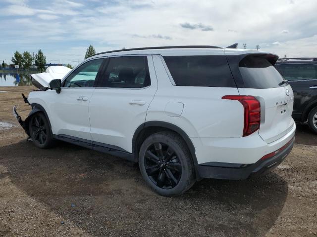 2025 HYUNDAI PALISADE X KM8R3DGE7SU874683