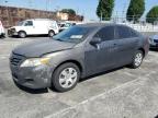 Top Destinations for Shipping Cars from the USA