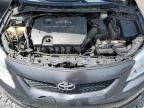 Lot #3301653620 2009 TOYOTA COROLLA BA