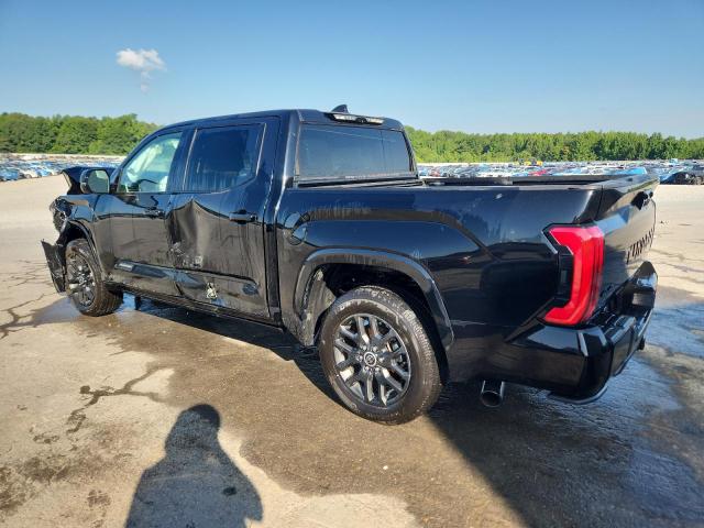 2023 TOYOTA TUNDRA CRE - 5TFNA5DB2PX084612
