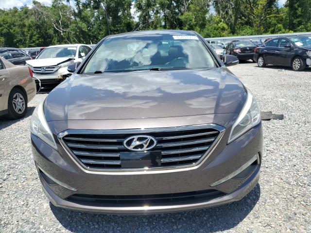 2015 HYUNDAI SONATA SPO 5NPE34AF7FH065592