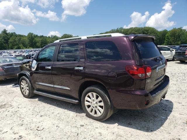 2019 TOYOTA SEQUOIA PL 5TDDY5G19KS171450