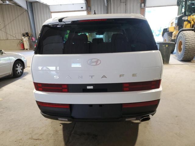 2025 HYUNDAI SANTA FE S 5NMP1DGLXSH089422
