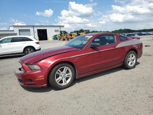 2014 FORD MUSTANG - 1ZVBP8AM9E5206803