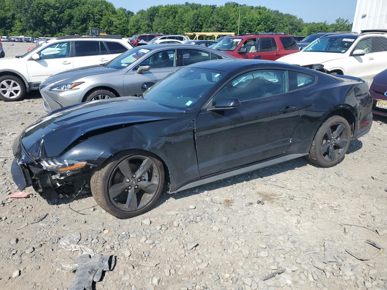 FORD MUSTANG