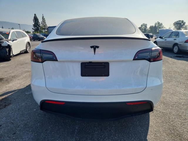 2024 TESLA MODEL Y 7SAYGDED6RF167241