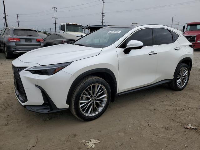 2024 LEXUS NX 350H BA JTJHKCEZ0R2038512