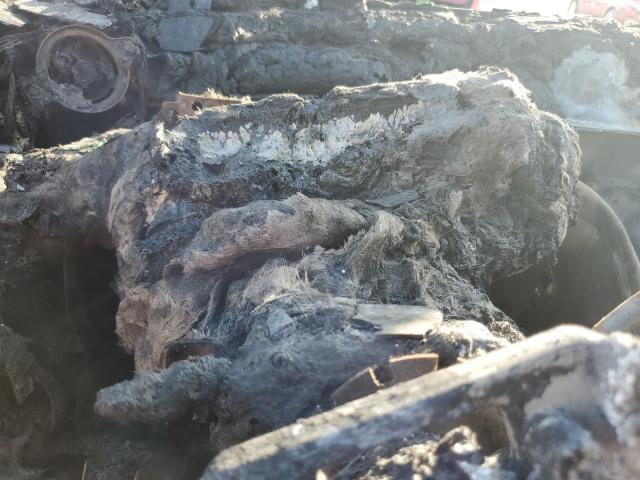 2019 CHEVROLET TAHOE C150 1GNSCBKC4KR107285