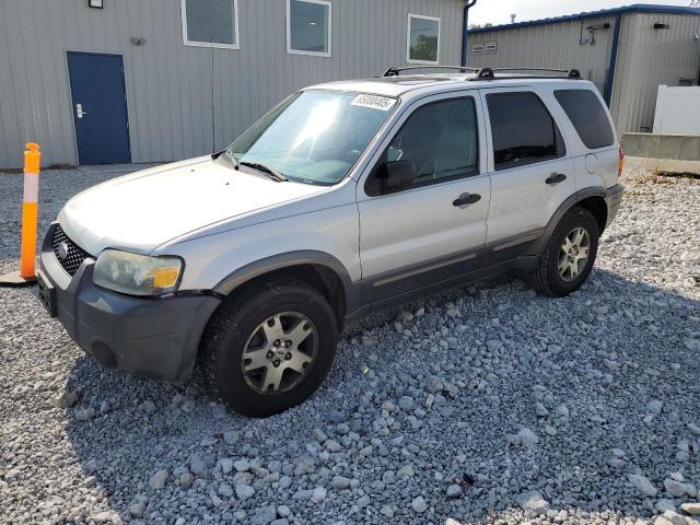 Global Auto Auctions: 2005 FORD ESCAPE XLT
