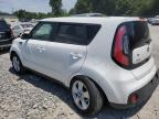 Lot #3304736919 2019 KIA SOUL