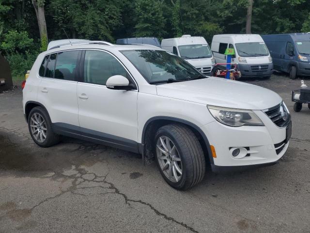 2010 VOLKSWAGEN TIGUAN SE - WVGBV7AX3AW001507