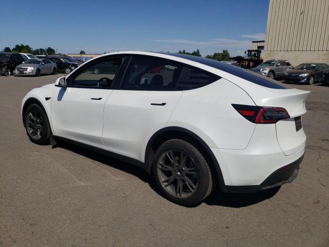 2025 TESLA MODEL Y 7SAYGDEE1SF286586