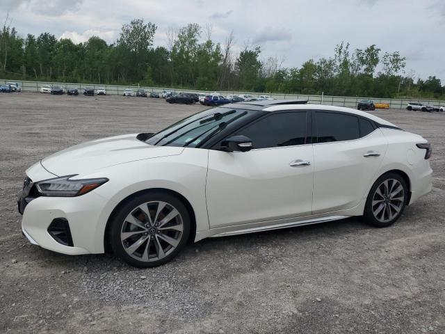 2023 NISSAN MAXIMA PLA 1N4AA6FVXPC501161