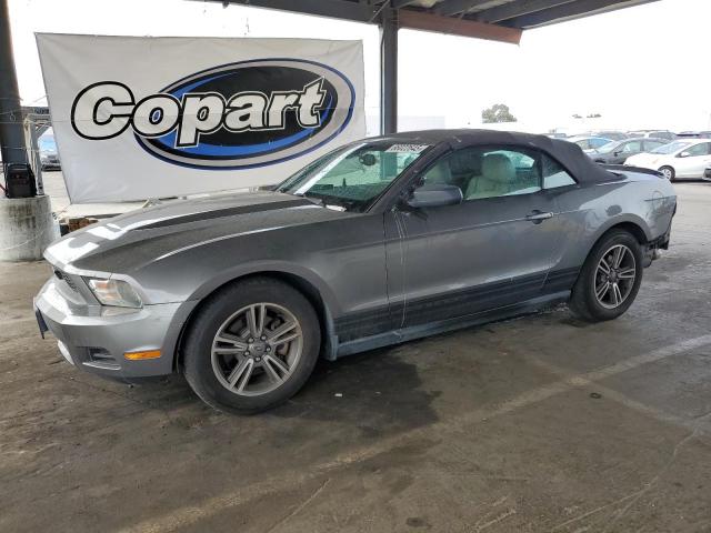 2011 FORD MUSTANG - 1ZVBP8EMXB5120101