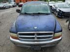 Lot #3028420233 2001 DODGE DAKOTA