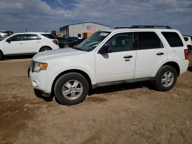 2010 Ford Escape XLT