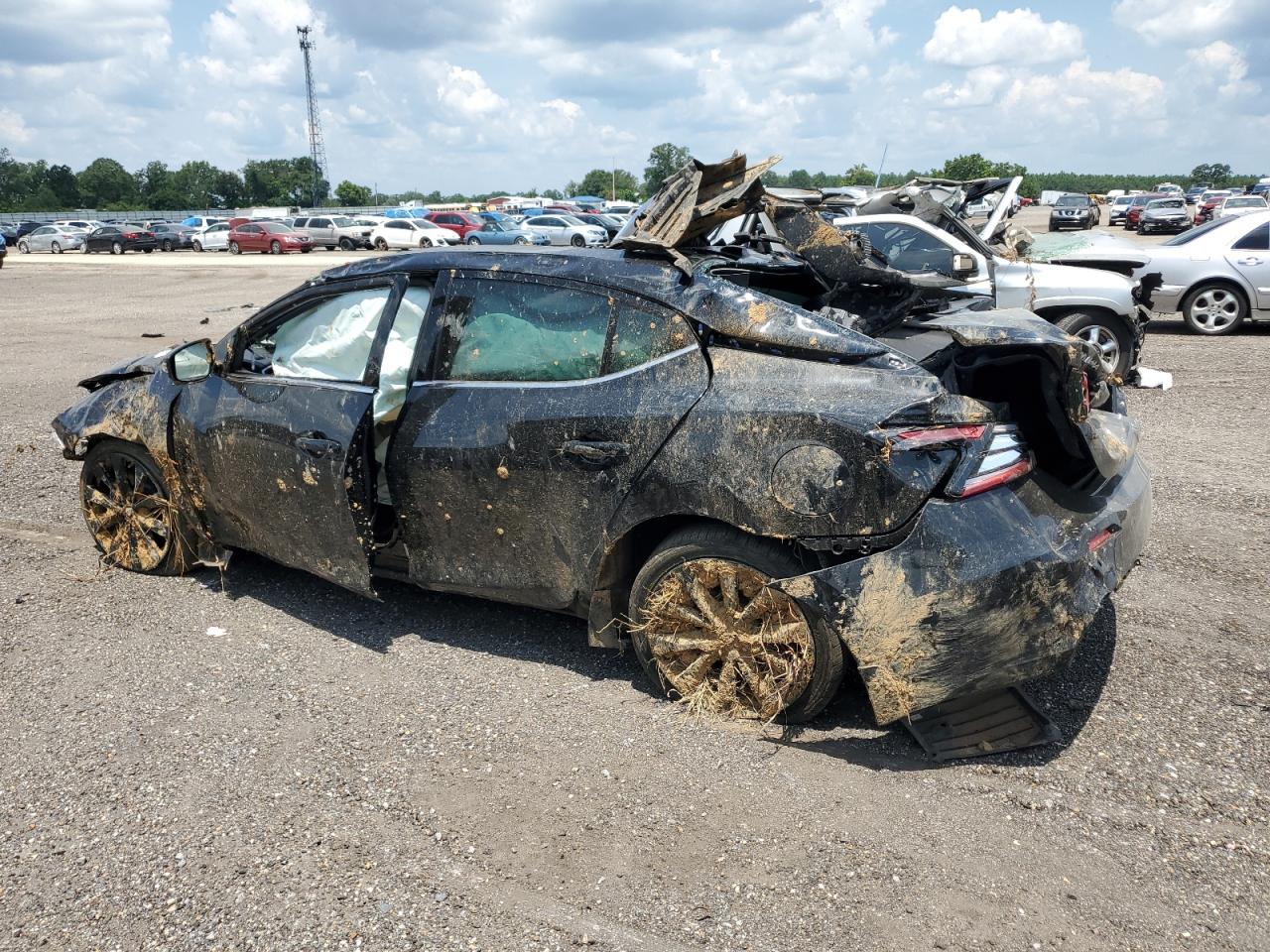 1N4AA6EV4PC501786 NISSAN MAXIMA 2023