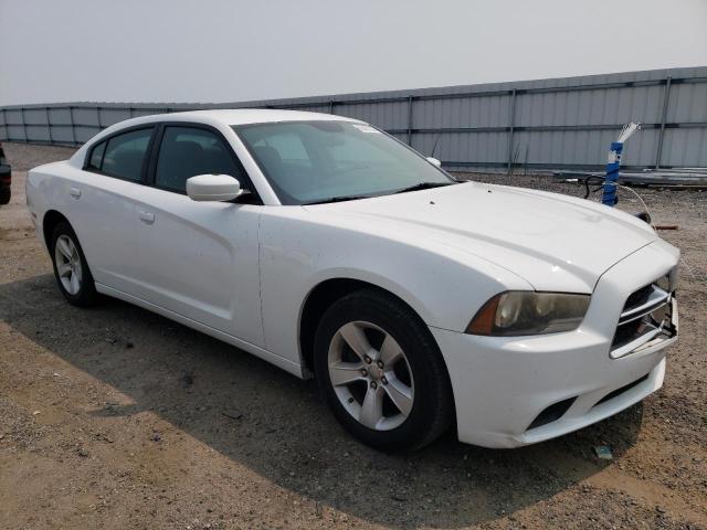 2C3CDXBG7EH173896 | 2014 DODGE CHARGER SE