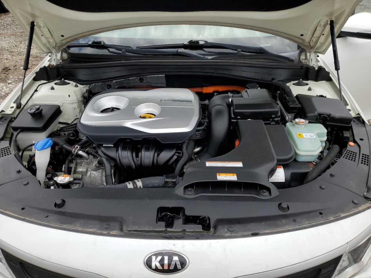 KNAGV4LDXH5007202 KIA OPTIMA 2017