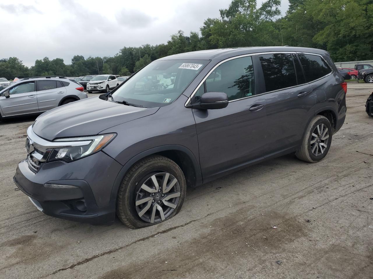 5FNYF6H55KB059859 HONDA PILOT 2019